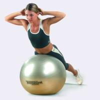 Мяч для фитнеса (фитбол) 65см TechnoGym (MS 0982)
