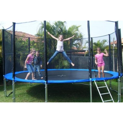 Большой батут для дома с защитной сеткой для взрослых и детей профессиональный OSPORT диаметр 305 см (MS 0497)