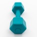 Гантели для фитнеса пластиковые цельные (неразборные) OSPORT Lite 2 кг (OF-0115)