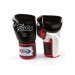 Перчатки боксёрские FAIRTEX BGV5