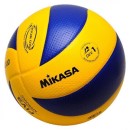 Волейбольні м'ячі