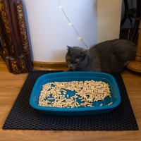 Коврик для кошачьего туалета под кошачий лоток 50х40 см OSPORT (R-00032)