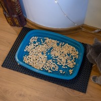 Коврик для кошачьего туалета под кошачий лоток 50х30 см OSPORT (R-00017)