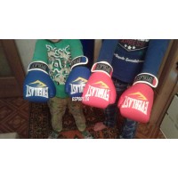 Боксерські рукавички дитячі Everlast 6 OZ (MS 1076) Боксерські рукавички дитячі Everlast 6 OZ (MS 1076)