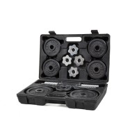 Металлические гантели Hop-Sport 2x10 кг в кейсе