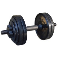 Гантель разборная черная InterAtletika 13,82 кг