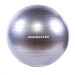 М'яч для фітнесу (фітбол) гладкий глянець Ironmaster 65см із насосом (IR97403)