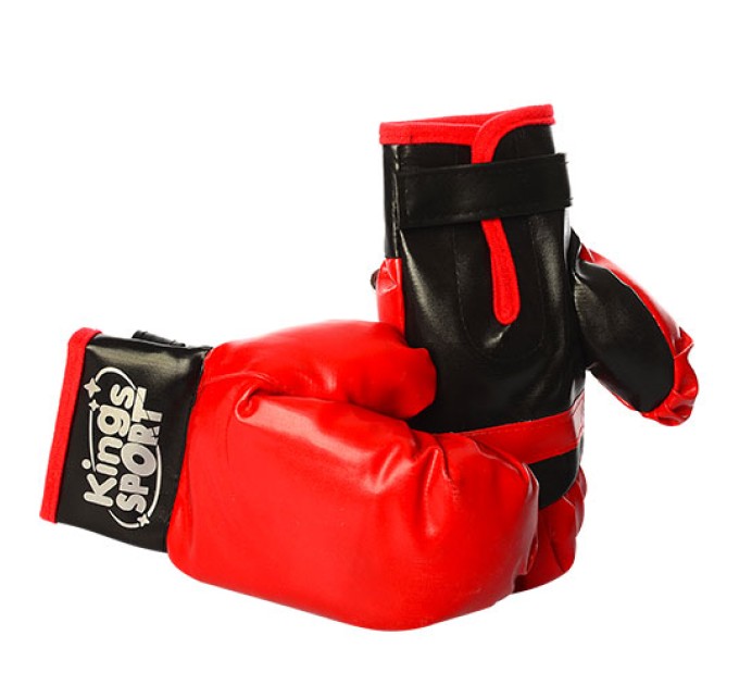 Боксерский набор детский перчатки и лапа Kings Sport (M 2922)