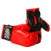 Боксерський набір дитячий рукавички та лапа Kings Sport (M 2922)