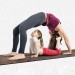 Килимок для йоги та фітнесу (йога мат) ПВХ OSPORT 5мм (MS 2870)