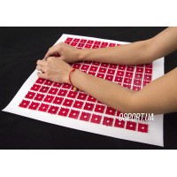 Коврик Аппликатор Кузнецова OSPORT Ёжик 168 (apl-001)