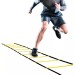 Координаційні сходи (швидкісна доріжка) для бігу та тренування 12 перекладин Profi (MS 3332-1)