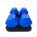 Гантелі для фітнесу пластикові цільні (нерозбірні) + килимок OSPORT Lite 2шт по 2 кг (OF-0215)