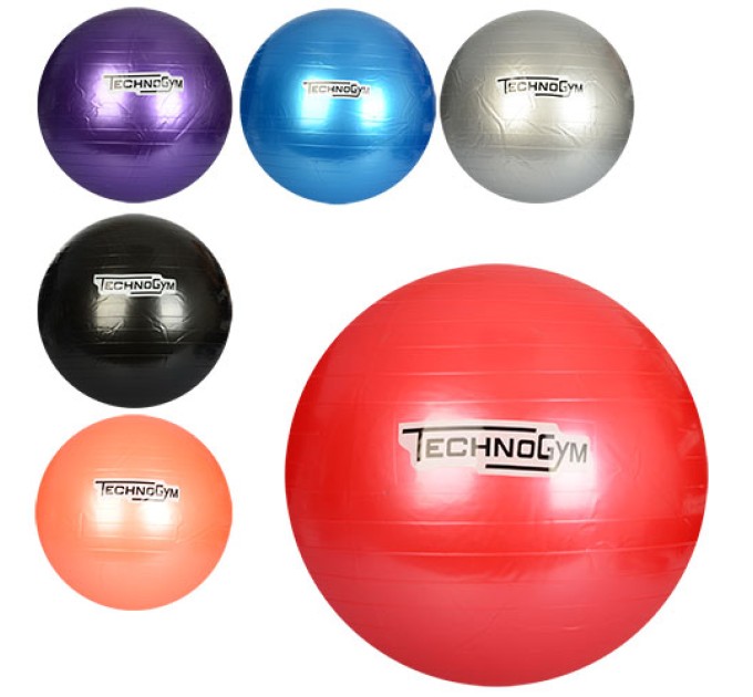 М'яч для фітнесу (фітбол) 65см TechnoGym (MS 0982)
