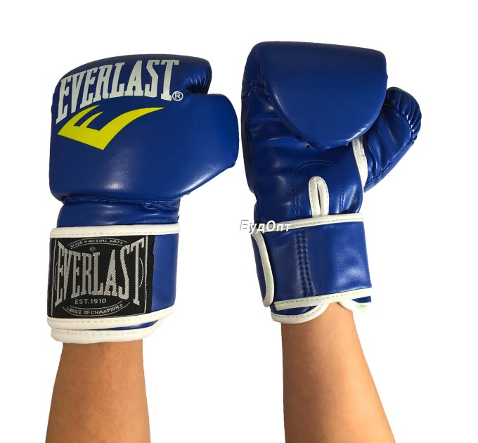Боксерські рукавички дитячі Everlast 6 OZ (MS 1076)