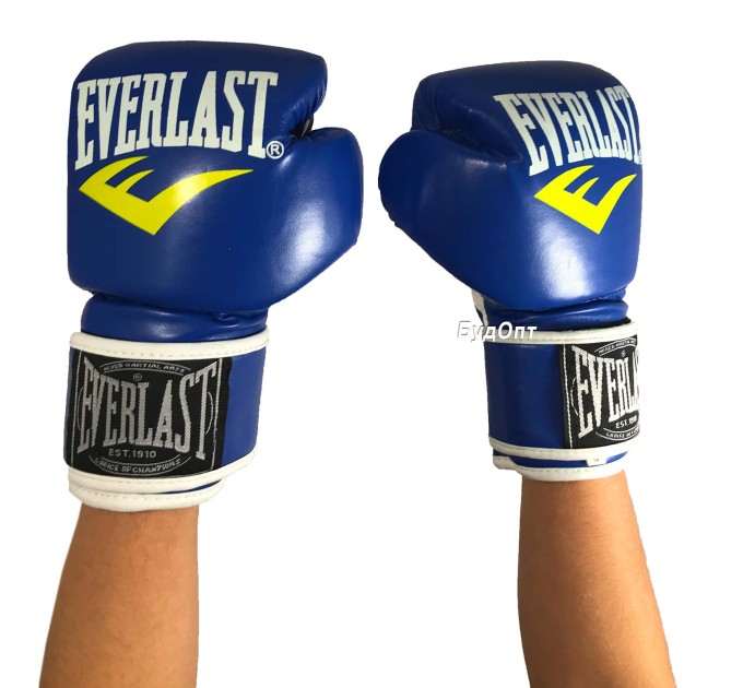 Боксерские перчатки Everlast 6 OZ (MS 1076)