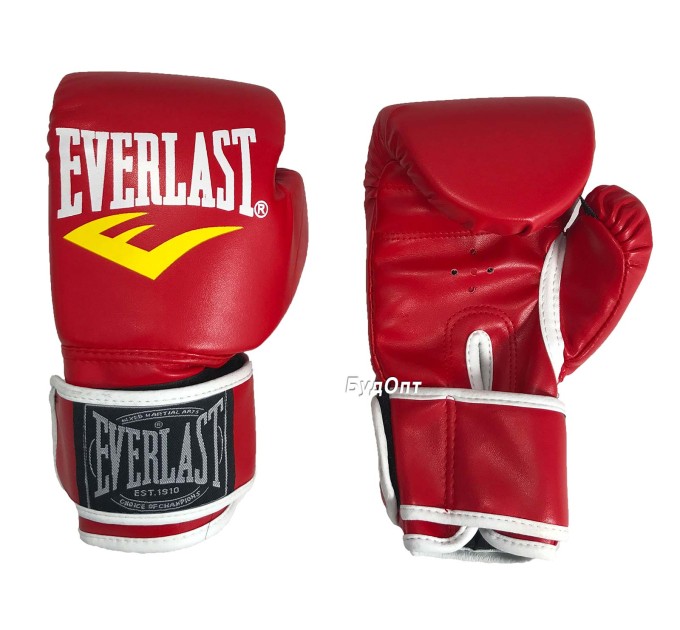 Боксерские перчатки Everlast 6 OZ (MS 1076)