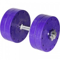 Гантель наборная с хромированной ручкой Титан 22 кг