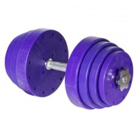 Гантель наборная с хромированной ручкой Титан 38 кг