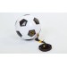 Мяч футбольный тренировочный Zel FB-5501