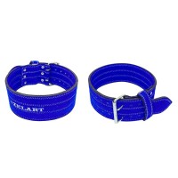 Пояс для пауэрлифтинга кожаный 101см Zel (ZB-01025-M)