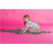 Детский ортопедический (массажный) коврик с камнями Onhillsport Крокодил (MS-1264)