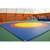 Борцовський килим для боротьби, дзюдо 10х10м, товщина 40мм OSPORT