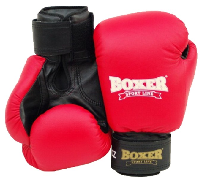 Дитячі боксерські рукавички шкіряні Boxer 8 унцій (bx-0029)