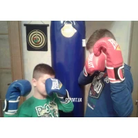 Боксерские перчатки детские Everlast 6 OZ (MS 1076)