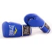 Рукавички боксерські для боксу 8-12 унцій на липучці Everlast шкіра PU (BO-3987)