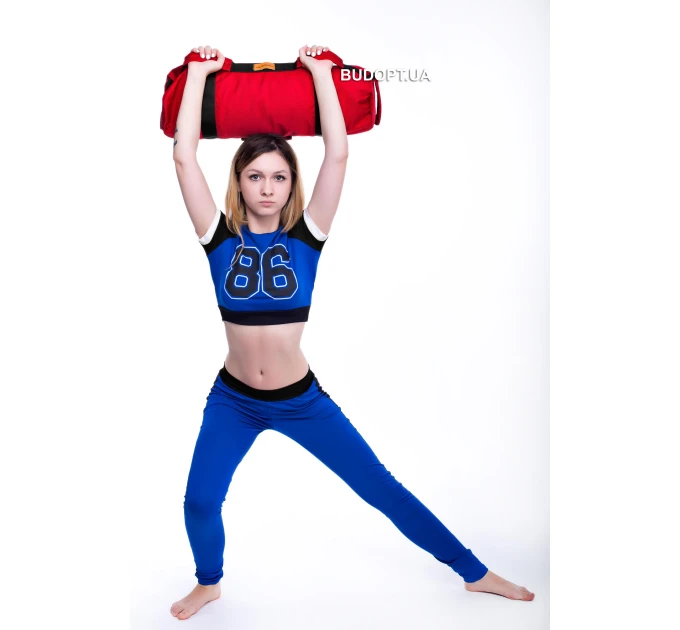 Сумка SANDBAG (сендбег) для тренувань Onhillsport 30 кг (SB-5530)