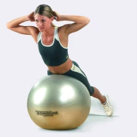 Мяч для фитнеса (фитбол) 65см TechnoGym (MS 0982)