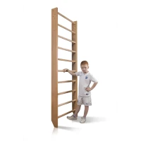 Шведская стенка SportBaby (Baby 0-220)