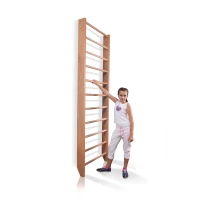 Шведская стенка SportBaby (Baby 0-240)
