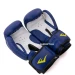Перчатки боксерские Everlast BO-4228 Кожа (10, 12 унций)