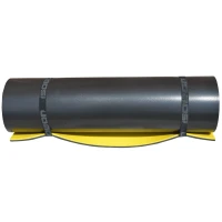 Килимок (каремат) спортивний Isolon Sport 8