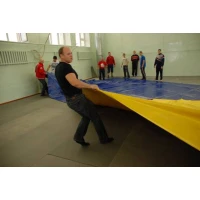 Борцовский ковер олимпийский для борьбы, дзюдо (маты с покрышкой) OSPORT