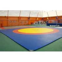 Борцовский спортивный мат ППЕ НХ для борьбы, дзюдо OSPORT 1м х 2м толщина 3см (FI-0002-30)